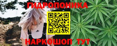 гашик Рыбинск
