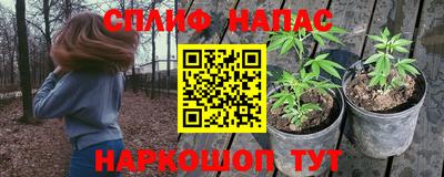 сатива Рязань