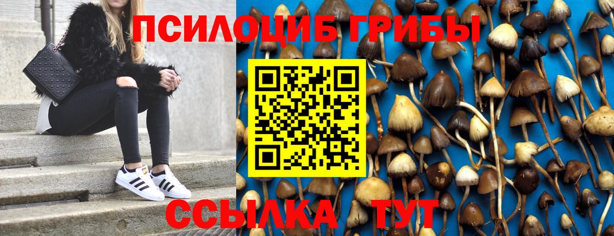 Галлюциногенные грибы Magic Shrooms  Вход с VPN  Сертолово 